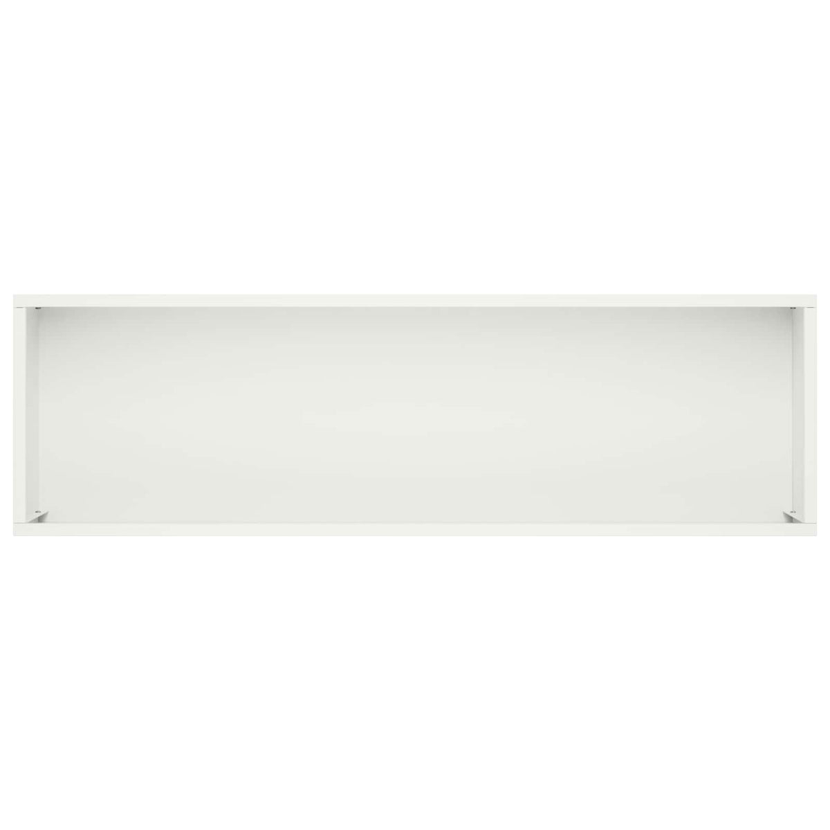 Plantenbak 2 st Wit 100 x 20 x 49 cm Koudgewalst staal