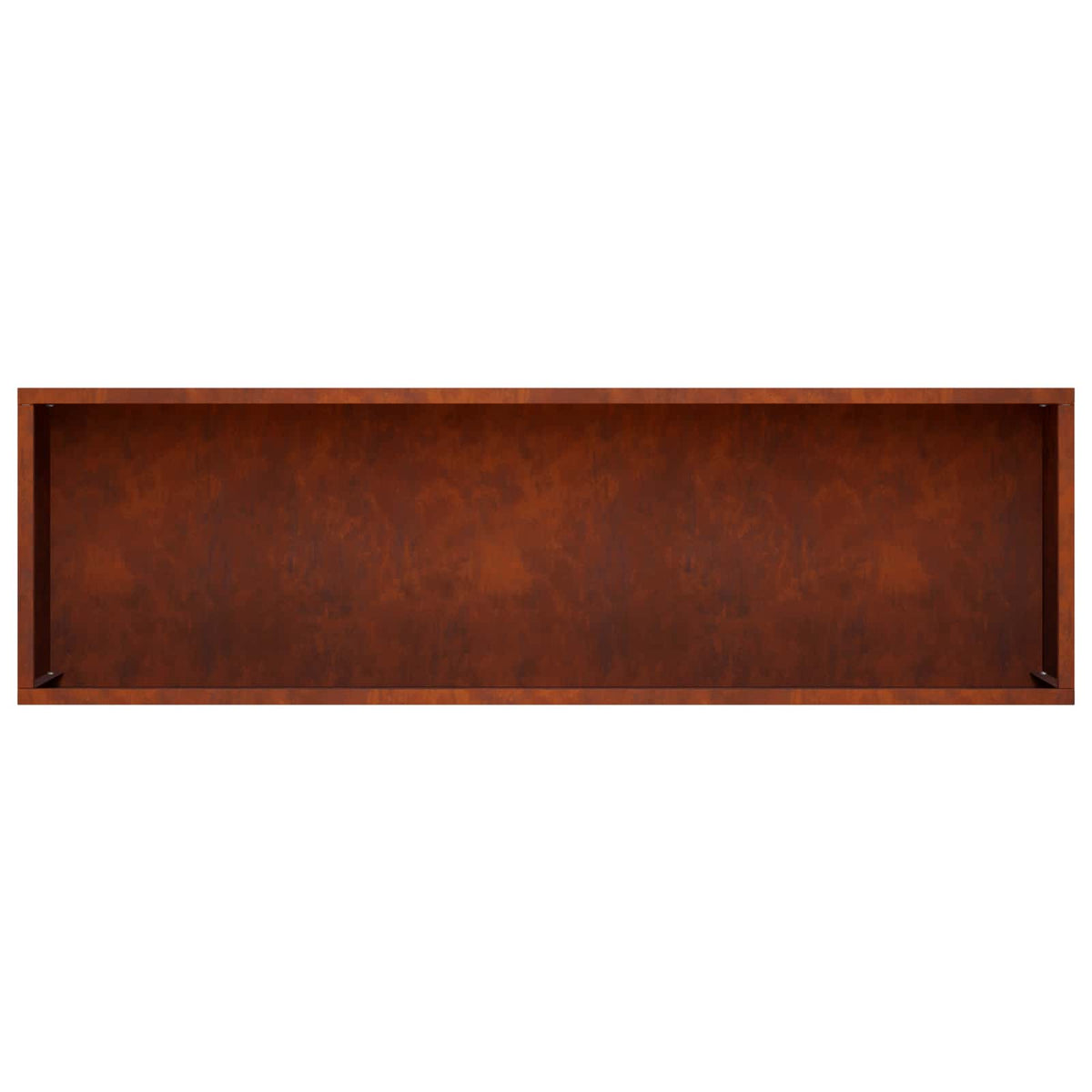 Plantenbak 2 st Roestkleurig 100 x 20 x 49 cm weervast staal