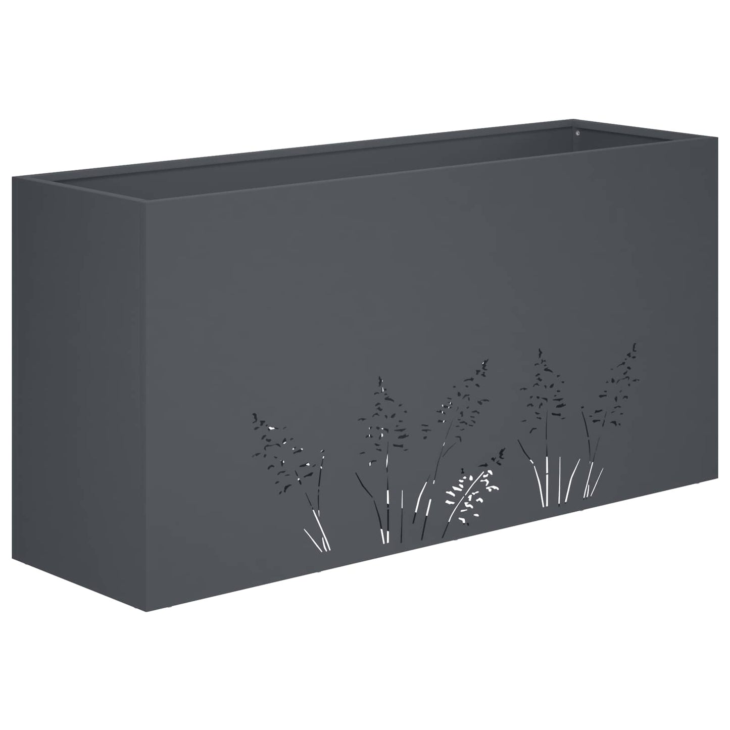 Plantenbak Antraciet 100 x 30 x 49 cm Koudgewalst staal
