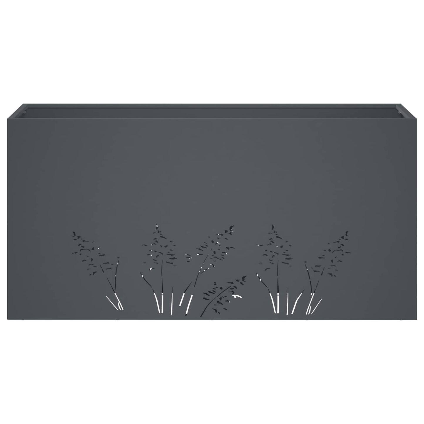 Plantenbak Antraciet 100 x 30 x 49 cm Koudgewalst staal