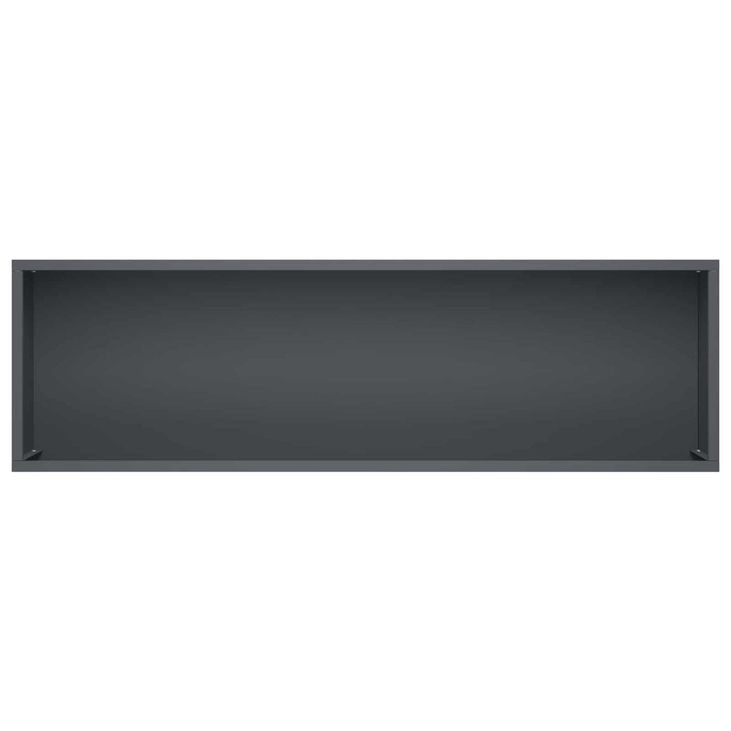 Plantenbak Antraciet 100 x 30 x 49 cm Koudgewalst staal