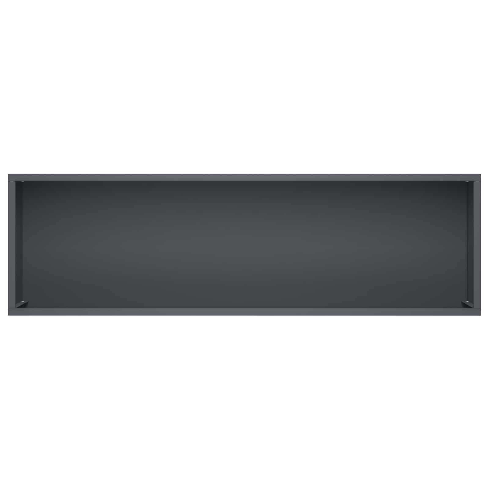 Plantenbak Antraciet 100 x 30 x 49 cm Koudgewalst staal