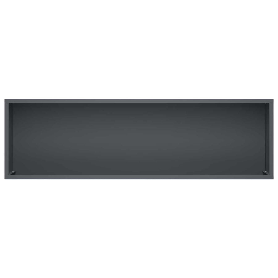 Plantenbak Antraciet 100 x 30 x 49 cm Koudgewalst staal