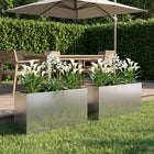 Plantenbak set 2 st 100x30x49 cm gegalvaniseerd staal