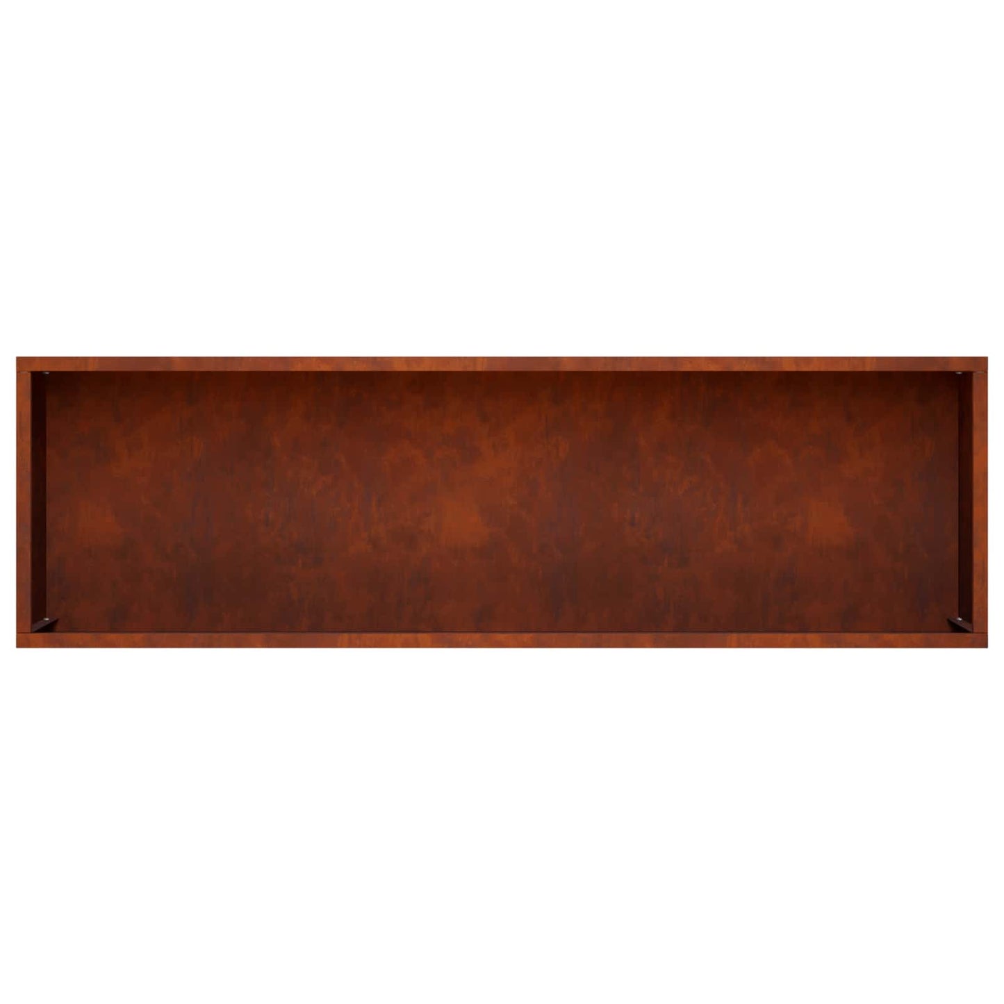 Plantenbak 2 st Roestkleurig 100 x 30 x 49 cm weervast staal