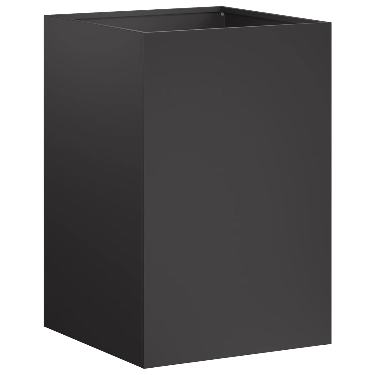 Plantenbak Zwart 40 x 40 x 60 cm Koudgewalst staal