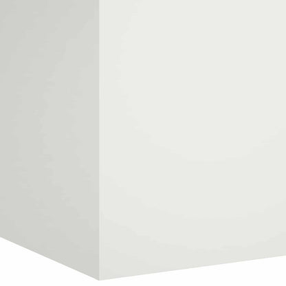 Plantenbak Wit 40 x 40 x 60 cm Koudgewalst staal