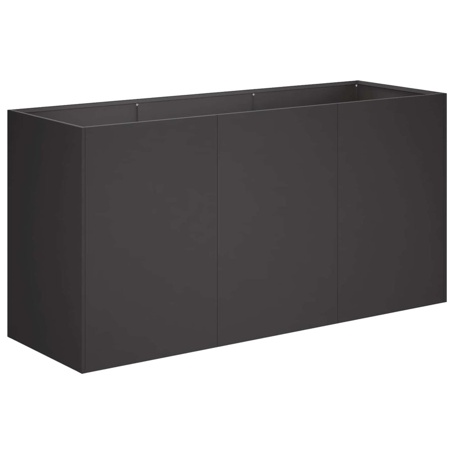 Plantenbak Zwart 120 x 40 x 60 cm Koudgewalst staal