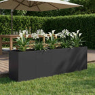 Plantenbak 200x40x60 cm koudgewalst staal zwart