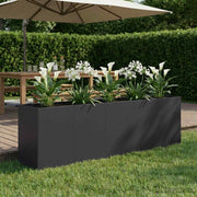 Plantenbak 200x40x60 cm koudgewalst staal zwart