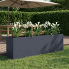 Plantenbak 200x40x60 cm antraciet staal