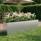 Plantenbak 200x40x60 cm zilver gegalvaniseerd staal