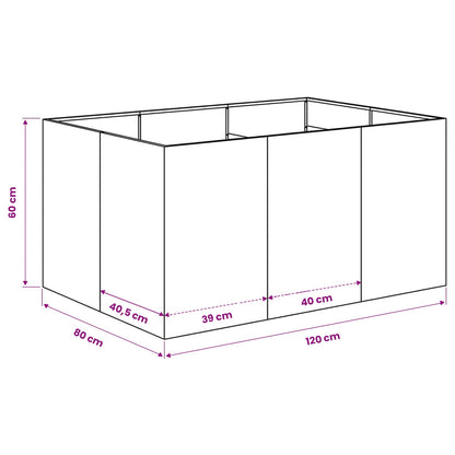 Plantenbak Zwart 120 x 80 x 60 cm Koudgewalst staal