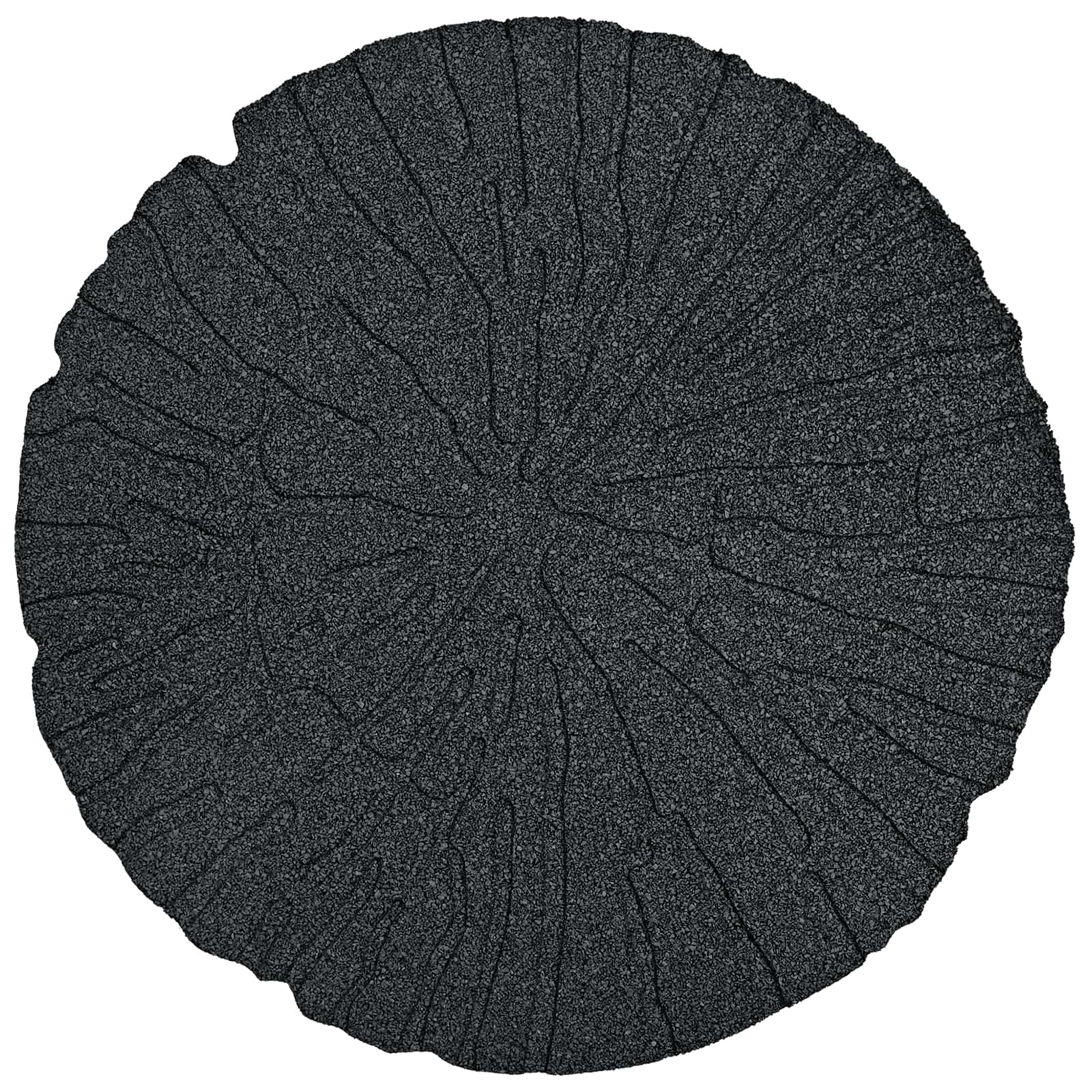 Stapsteen 6 pcs Zwart Ø 45 x 1,8 cm Rubber