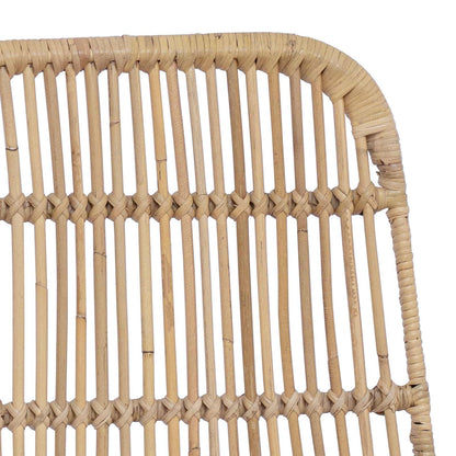 Eetkamerstoel 2 pcs Naturel 41 x 55 x 85 cm Rattan en staal