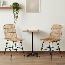 Eetkamerstoel 2 pcs Naturel 41 x 55 x 85 cm Rattan en staal