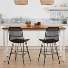 Dining Chair 2 pcs Black 41 x 55 x 85 cm Rattan and Steel