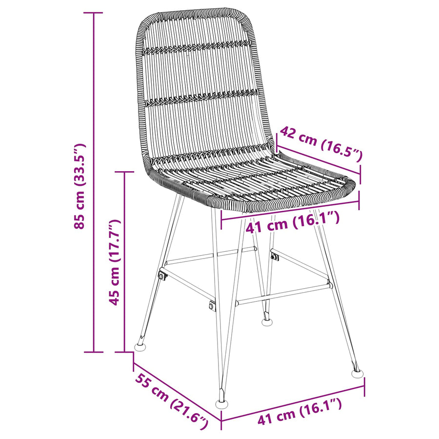 Eetkamerstoel 2 pcs Zwart 41 x 55 x 85 cm Rattan en staal