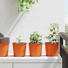 Flower pot 100 pcs Terracotta Ø 15 x 13 cm Plastic