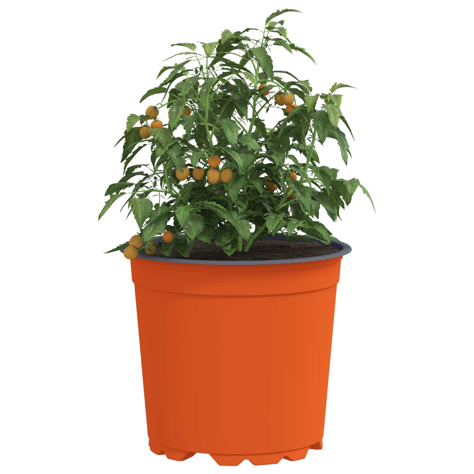 Bloempot 100 pcs Keramiek Ø 15 x 12.5 cm Kunststof