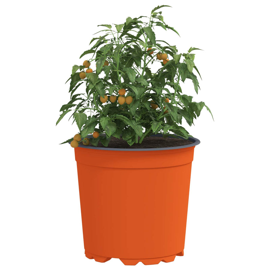 Bloempot 100 pcs Keramiek Ø 15 x 12.5 cm Kunststof