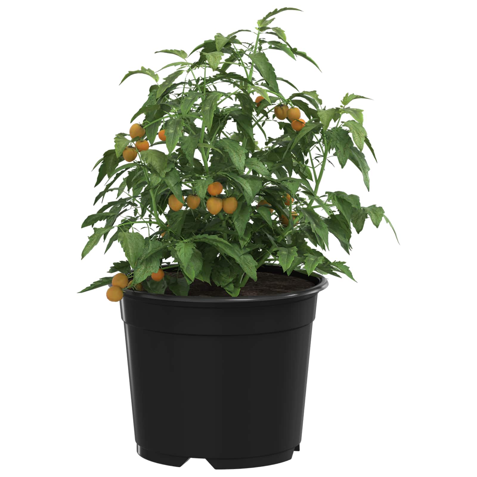 Bloempot 50 pcs Zwart Ø 15 x 12.5 cm Kunststof