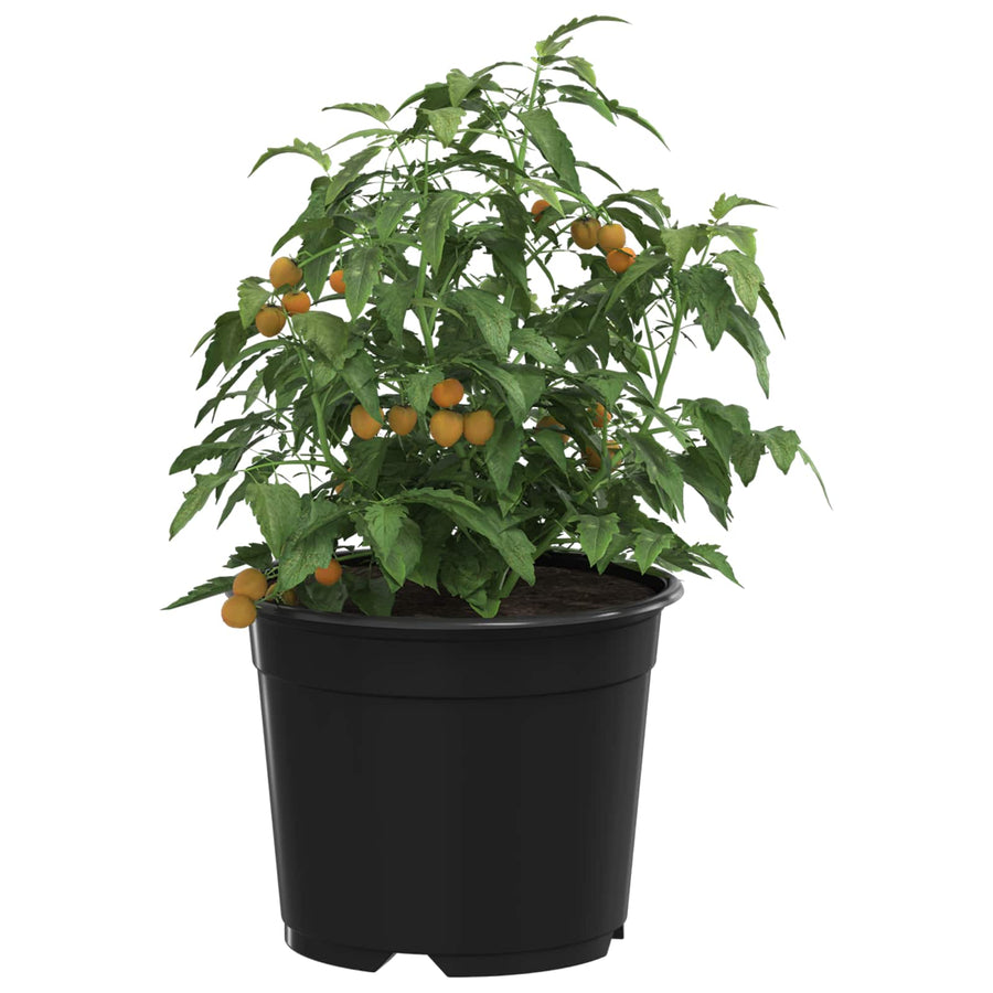 Bloempot 100 pcs Zwart Ø 15 x 12.5 cm Kunststof