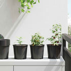 Plant pot 100 pcs Black Ø 15 x 13 cm Plastic