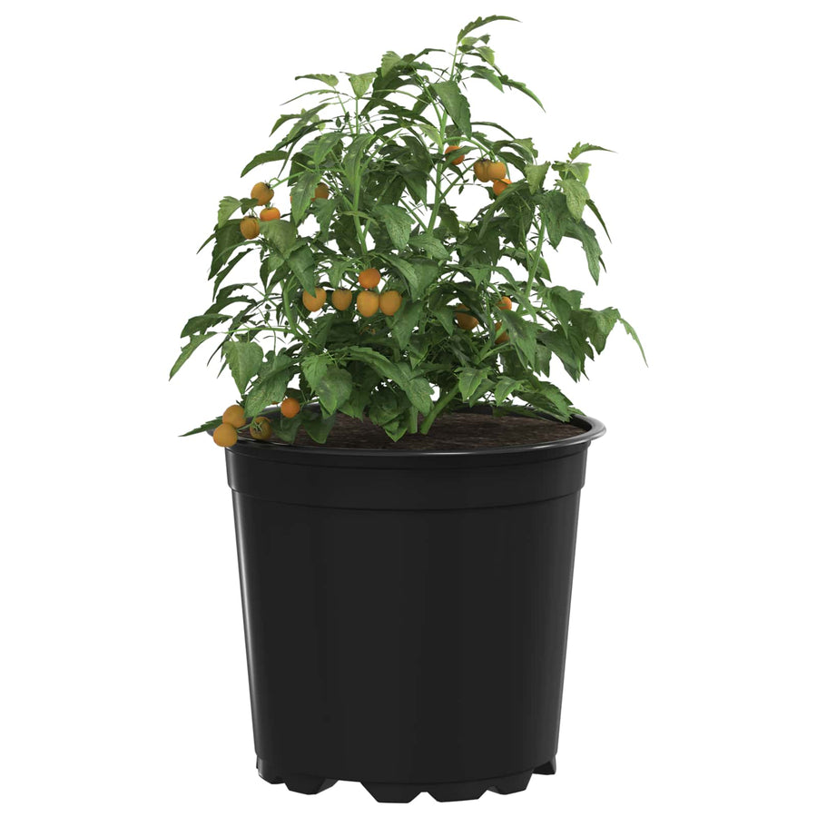 Bloempot 100 pcs Zwart Ø 15 x 12.5 cm Kunststof