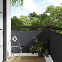 Balkon Scherm met Oogjes Antracietkleurig
