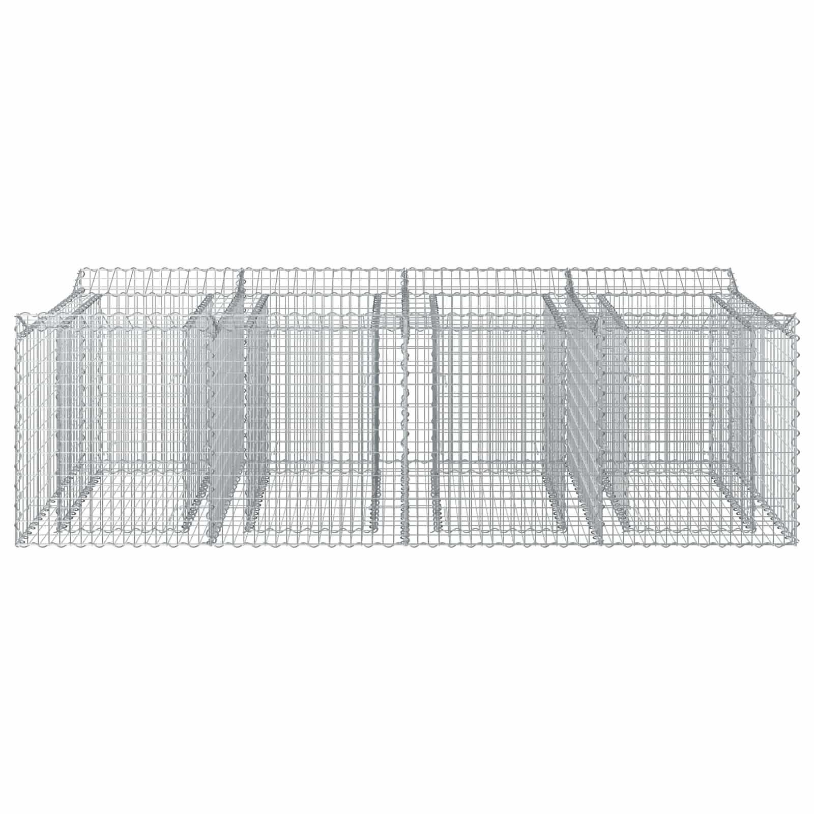 Gabion Verhoogd Bed 2 pcs Zilverkleurig