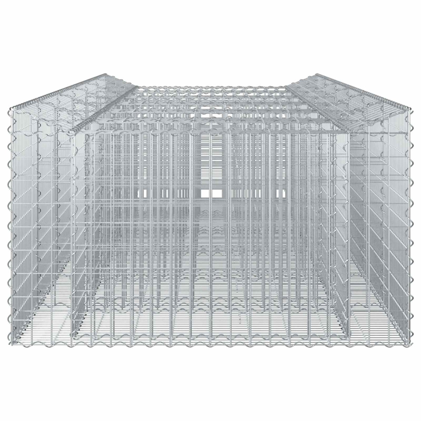 Gabion Verhoogd Bed 2 pcs Zilverkleurig