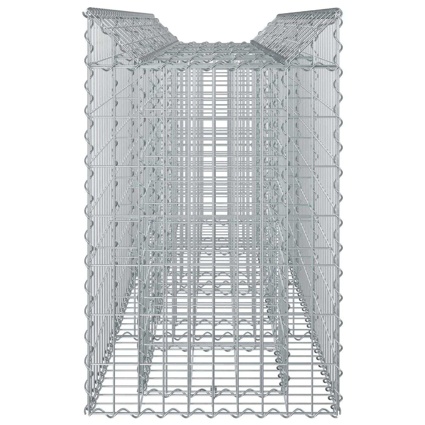 Gabion Verhoogd Bed 2 pcs Zilver 200 x 50 x 80 cm