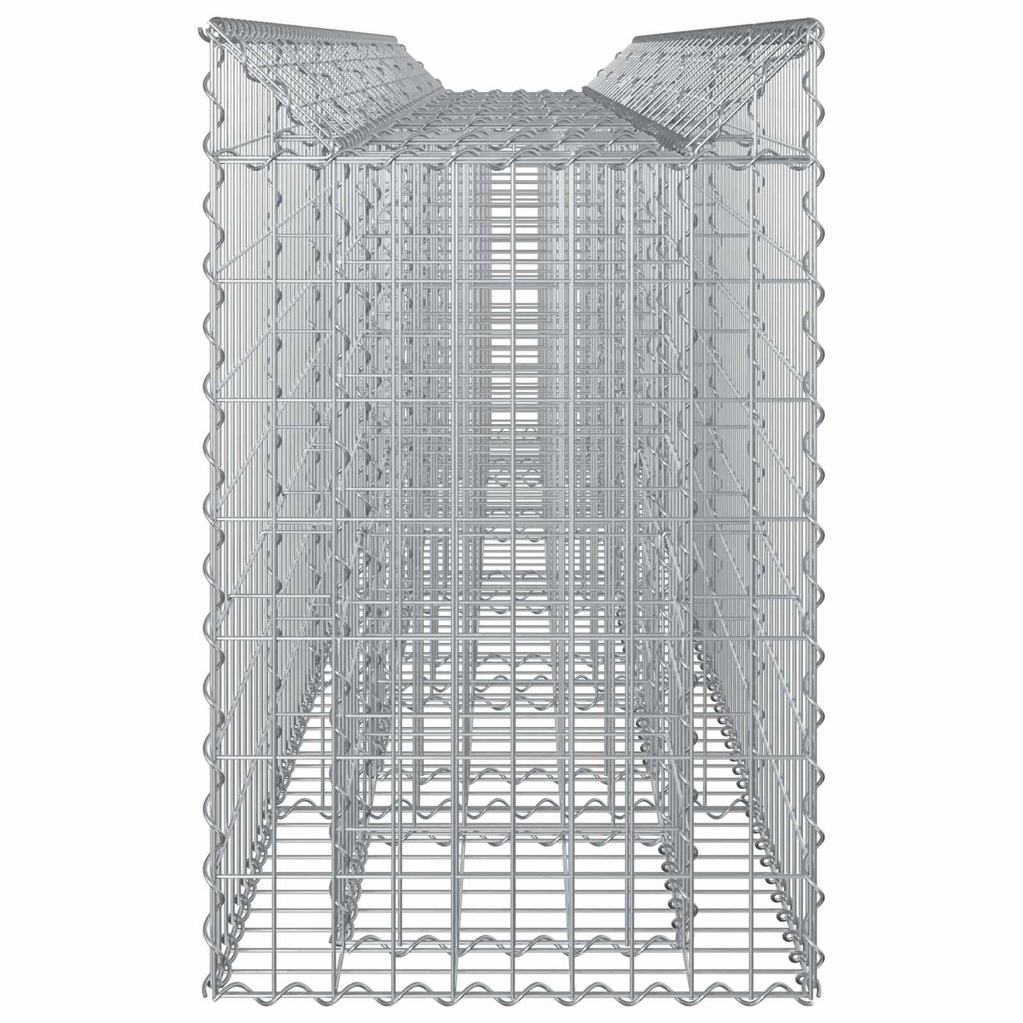 Gabion Verhoogd Bed 2 pcs Zilver 300 x 50 x 80 cm