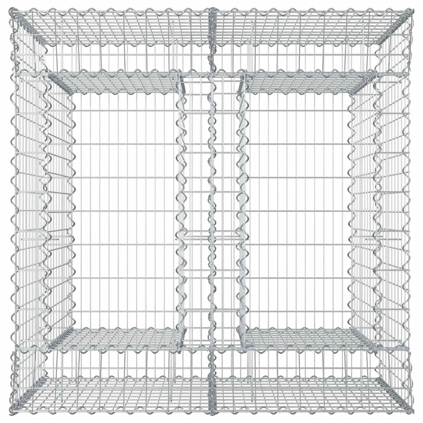 Gabion Verhoogd Bed 2 pcs Zilverkleurig