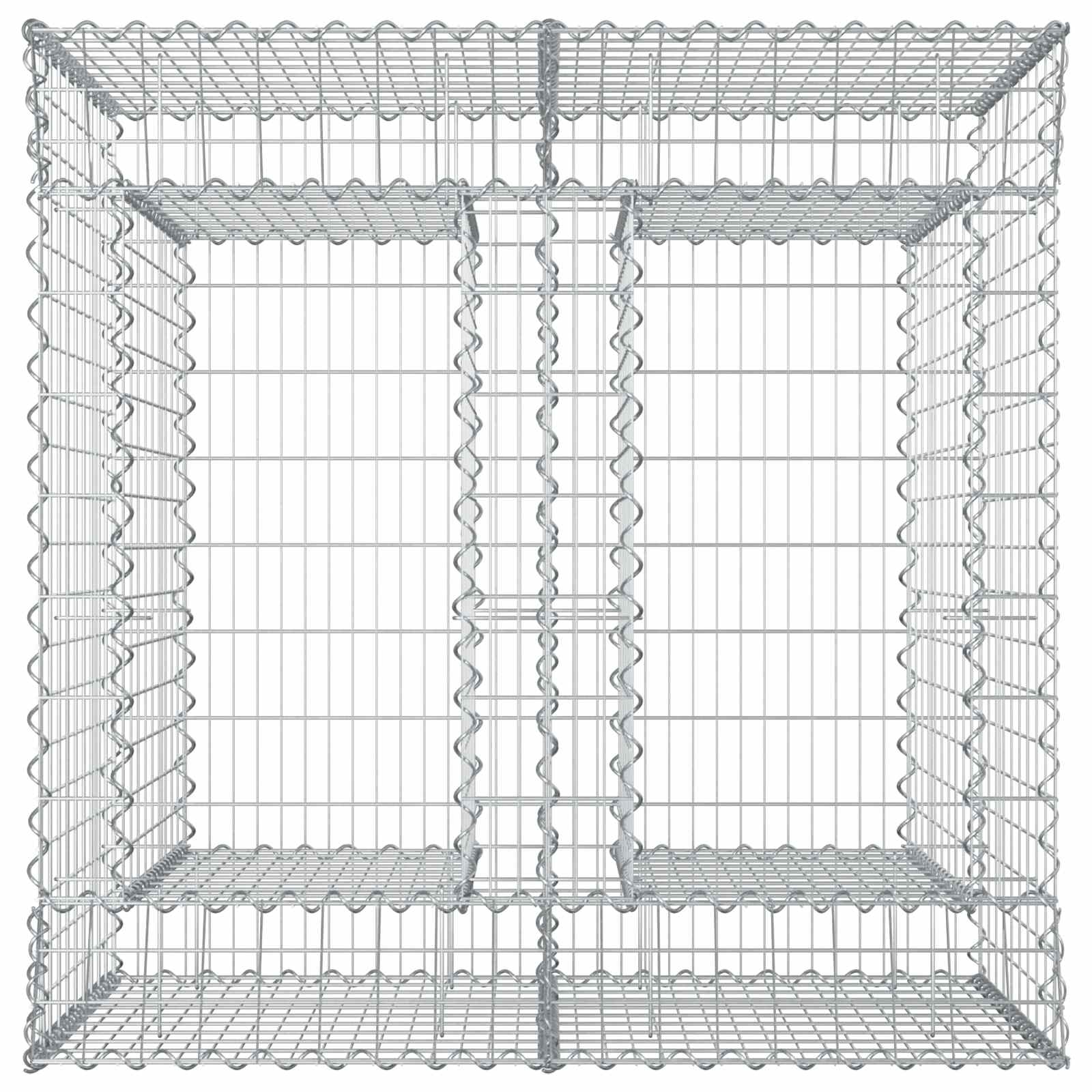 Gabion Verhoogd Bed 2 pcs Zilverkleurig