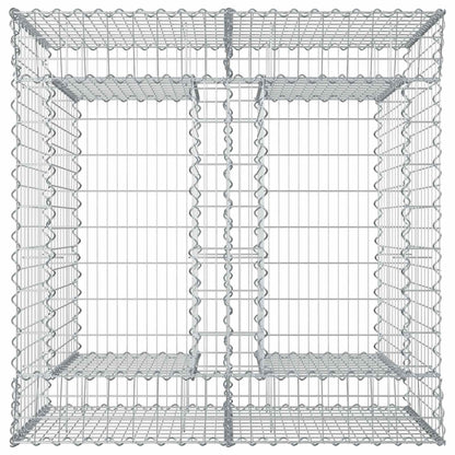 Gabion Verhoogd Bed 2 pcs Zilverkleurig