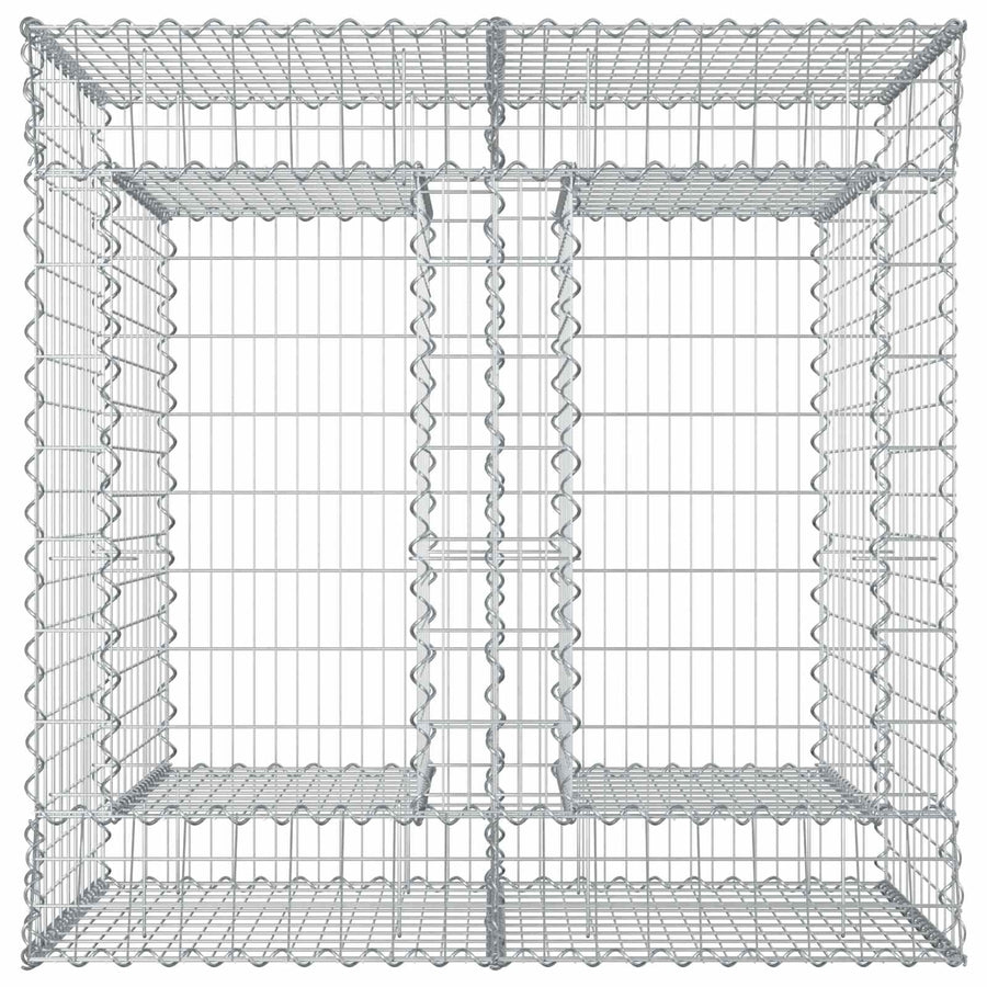 Gabion Verhoogd Bed 2 pcs Zilverkleurig