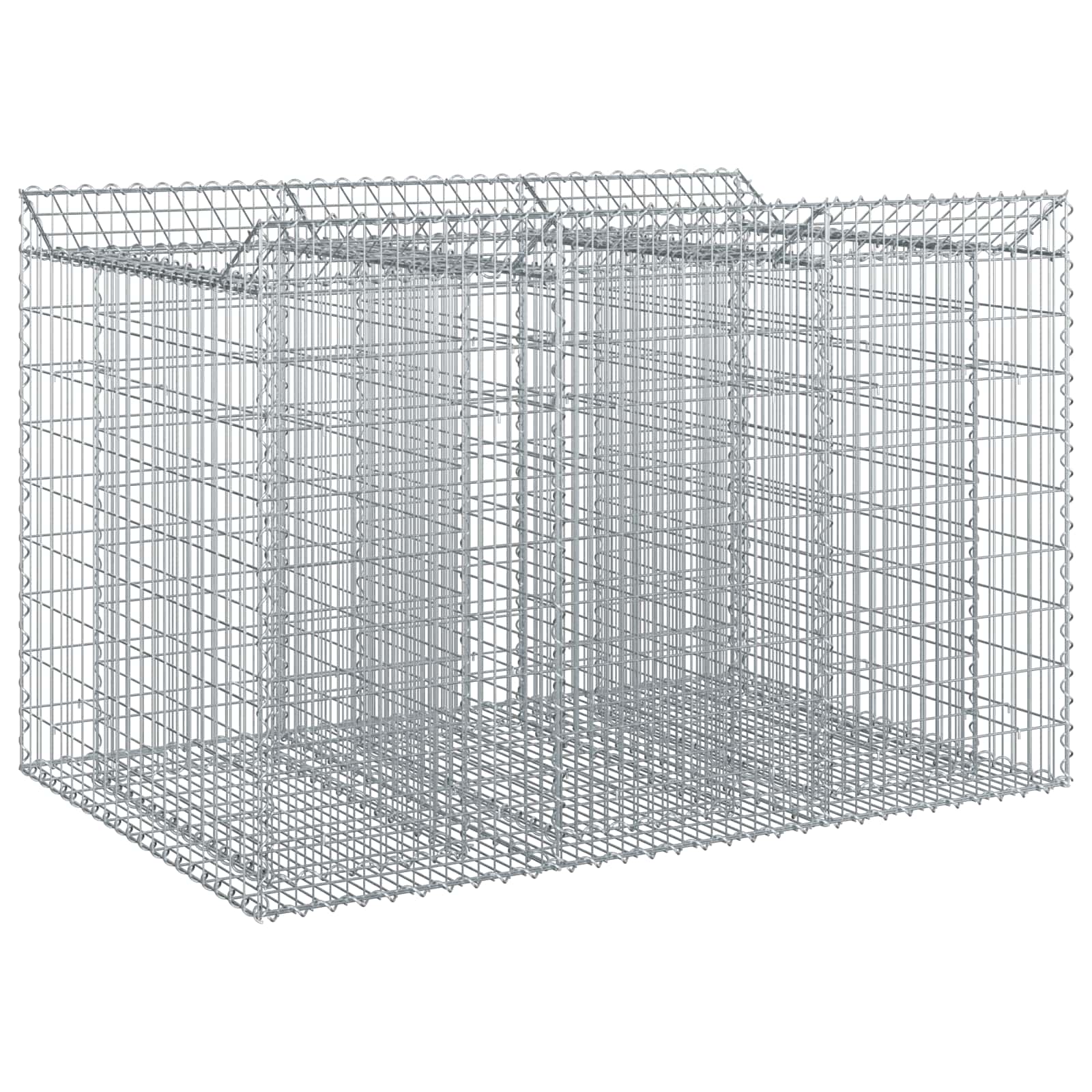 Gabion Verhoogd Bed 2 pcs Zilverkleurig