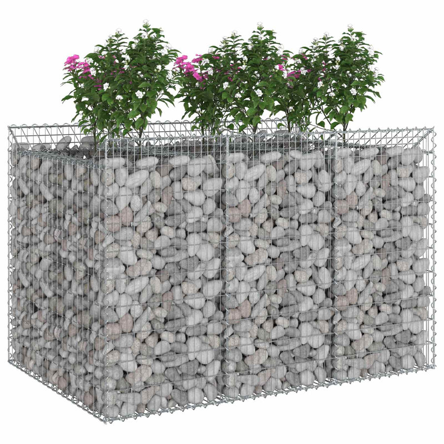 Gabion Verhoogd Bed 2 pcs Zilverkleurig