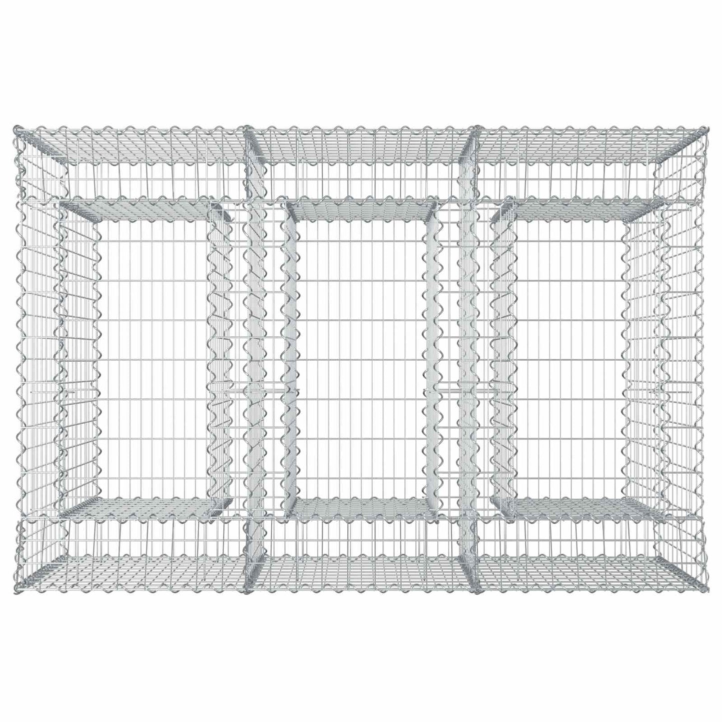 Gabion Verhoogd Bed 2 pcs Zilverkleurig