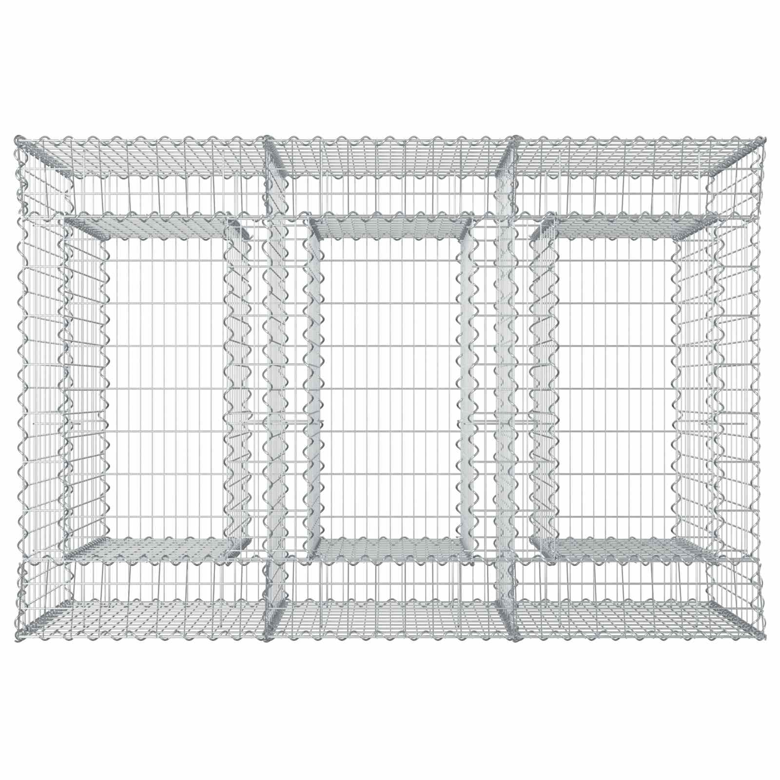 Gabion Verhoogd Bed 2 pcs Zilverkleurig