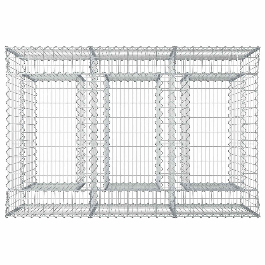 Gabion Verhoogd Bed 2 pcs Zilverkleurig