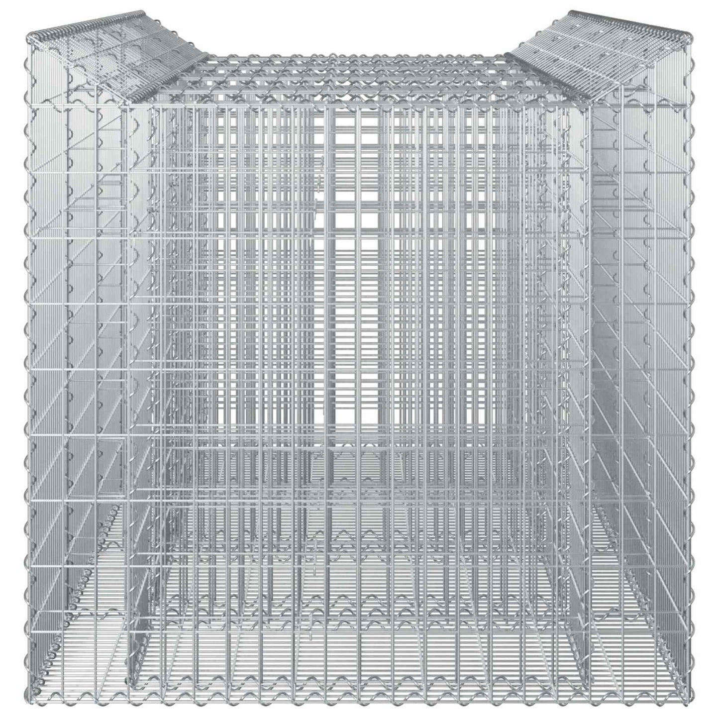 Gabion Verhoogd Bed 2 pcs Zilverkleurig
