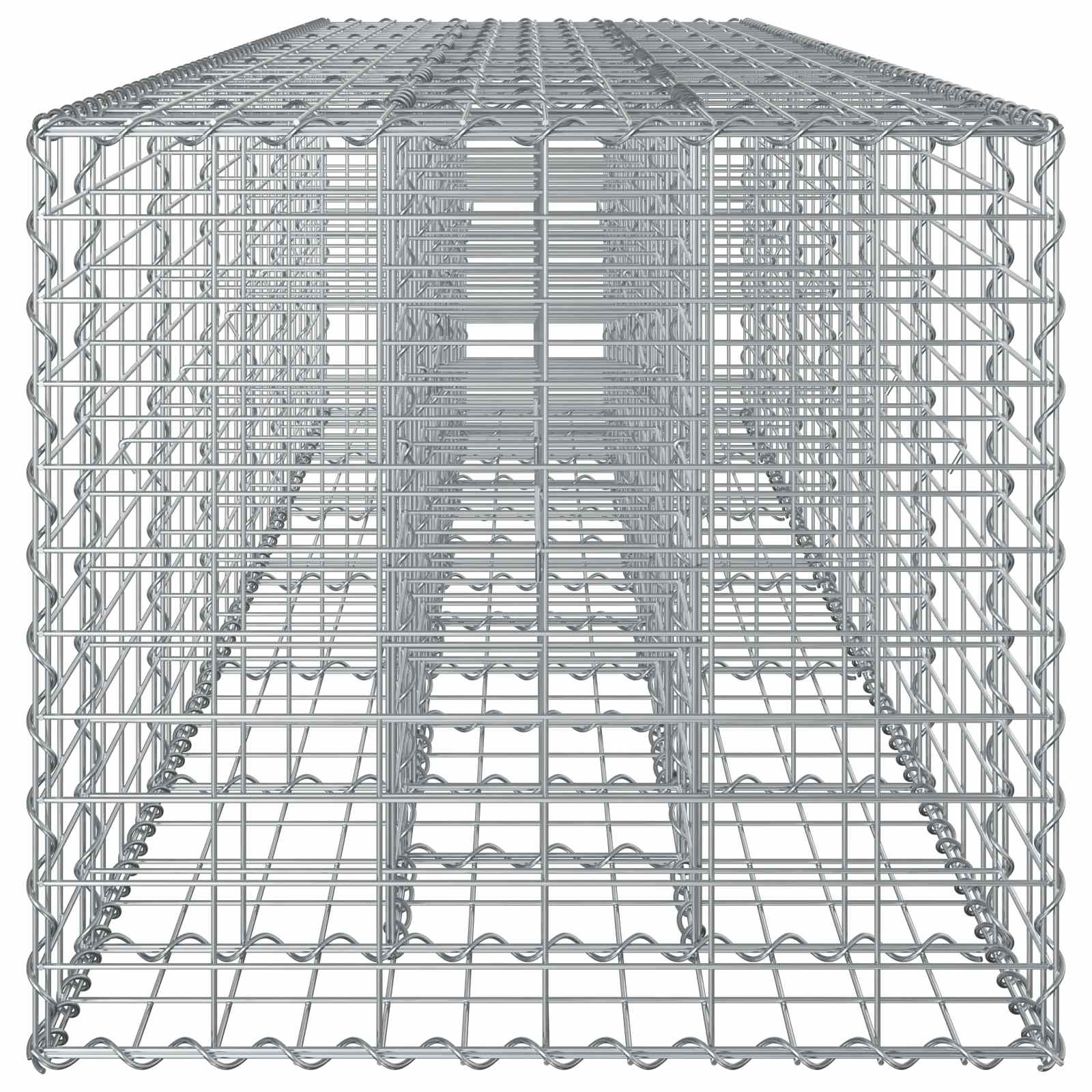 Gabion Verhoogd Bed 2 pcs Zilver 260 x 60 x 55 cm