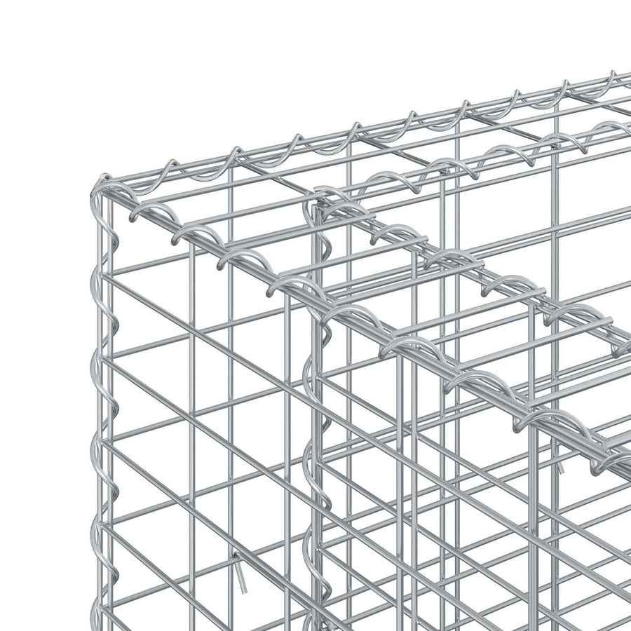 Gabion Verhoogd Bed 2 pcs Zilver 250 x 50 x 80 cm