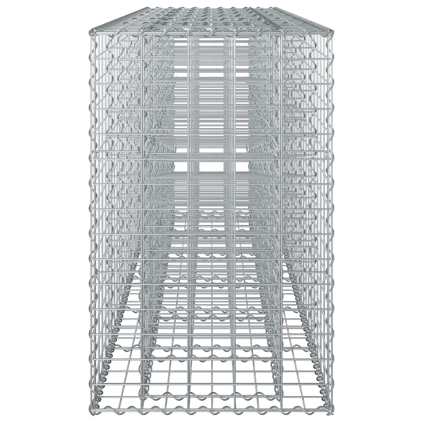 Gabion Verhoogd Bed 2 pcs Zilver 250 x 50 x 80 cm