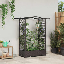 Verhoogd Bed met Trellis en Dak Bruin 124 x 40 x 125 cm PP