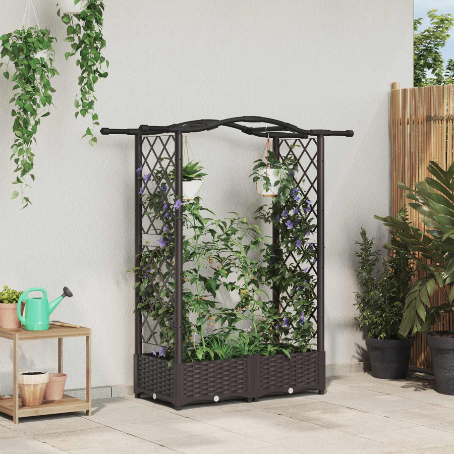 Verhoogd Bed met Trellis en Dak Bruin 124 x 40 x 125 cm PP