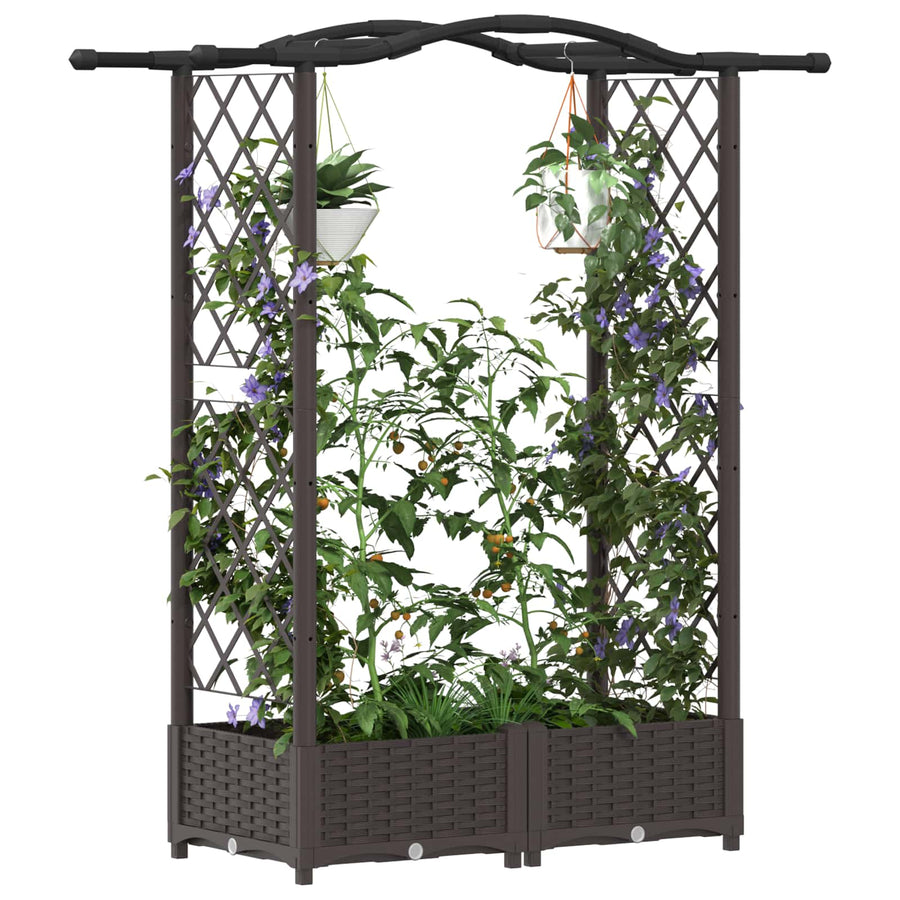 Verhoogd Bed met Trellis en Dak Bruin 124 x 40 x 125 cm PP